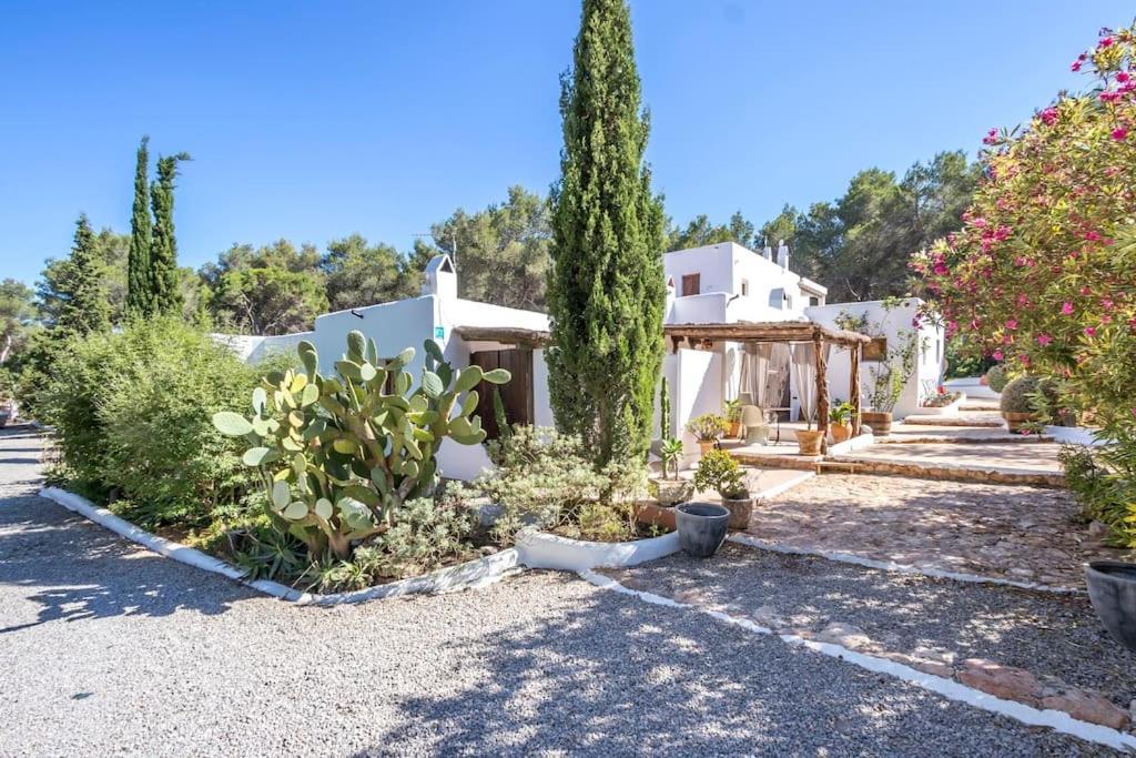 Casa Rosada - Gorgeous Family Finca Near Santa Gertrudis Villa Santa Gertrudis  Esterno foto